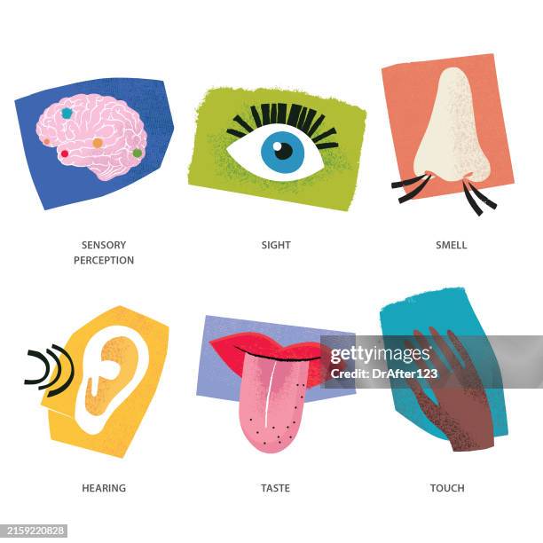 sensory perception - stimulus check stock illustrations