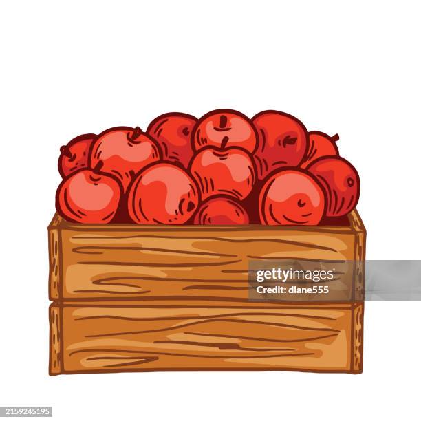 hand drawn apple harvest on a transparent background - apple crate stock illustrations