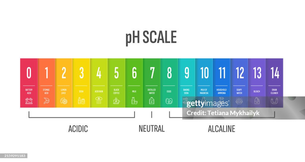 Ph Scale Design Color Indicator Chart How Acidic Alkaline Basic Water