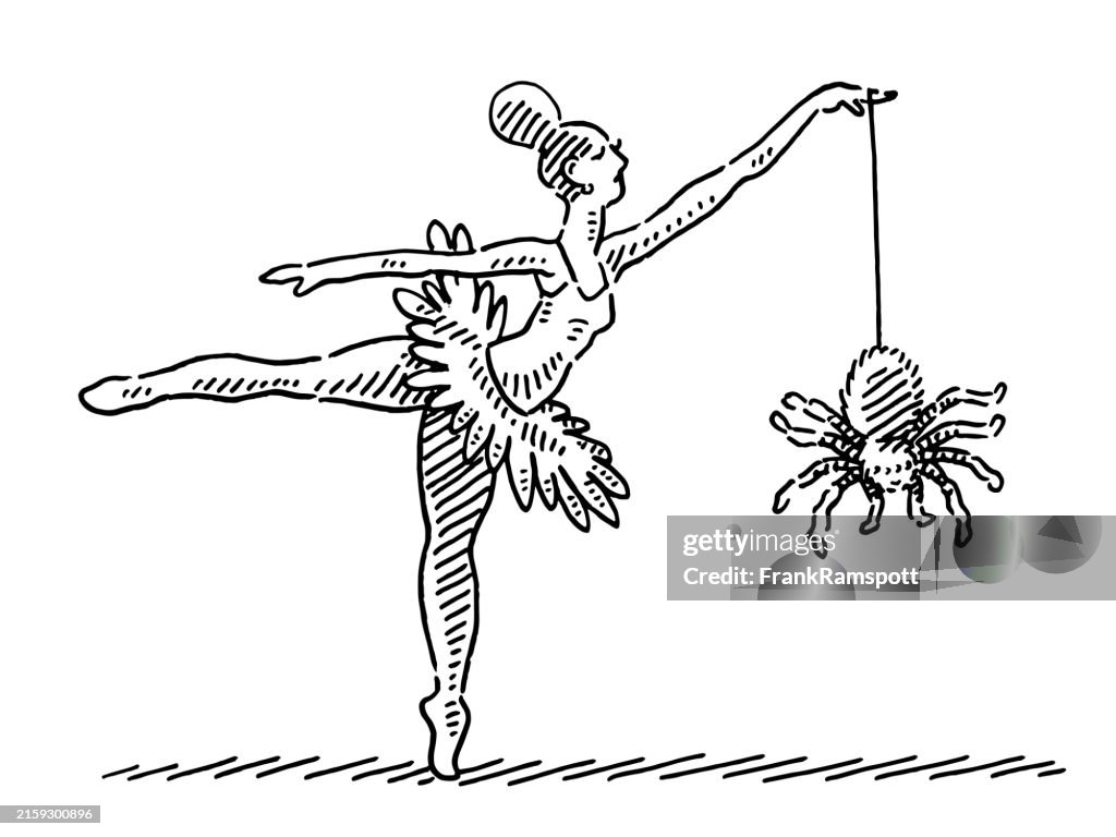Ballet Dancer Tutu Hanging Spider Drawing