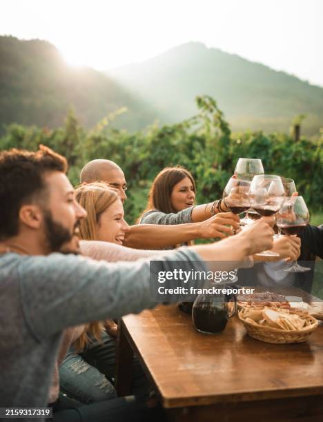 friends doing a wine tasting - red wine tasting stock pictures, royalty-free photos & images