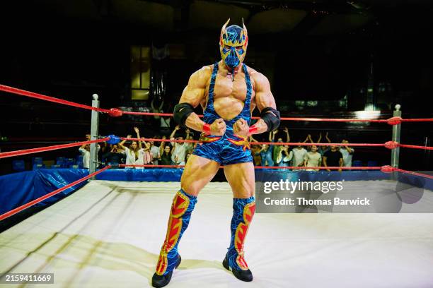 Lucha 1,904 Lucha Libre Mexico Stock Photos, High-Res Pictures, and Images ...