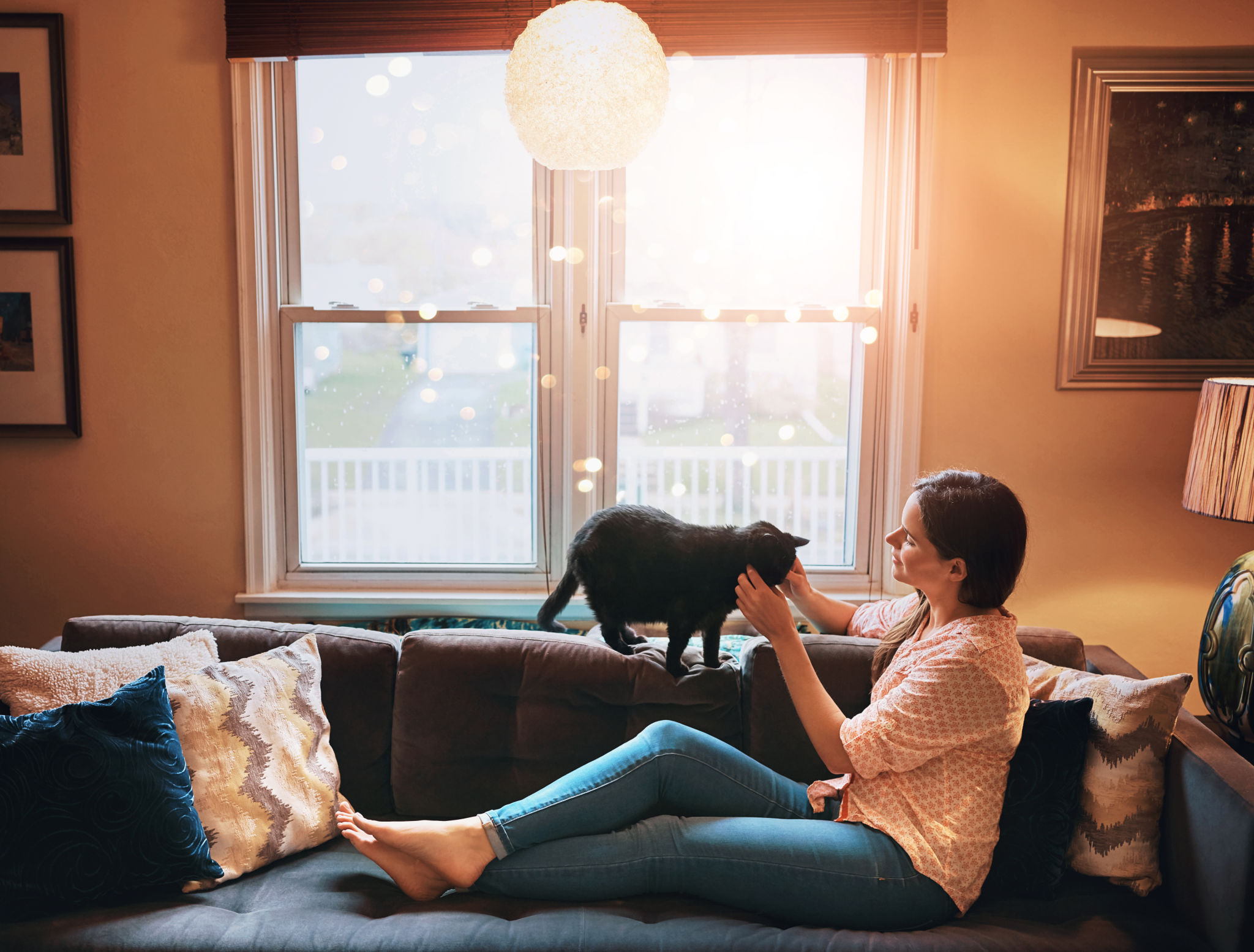 pet sitter home