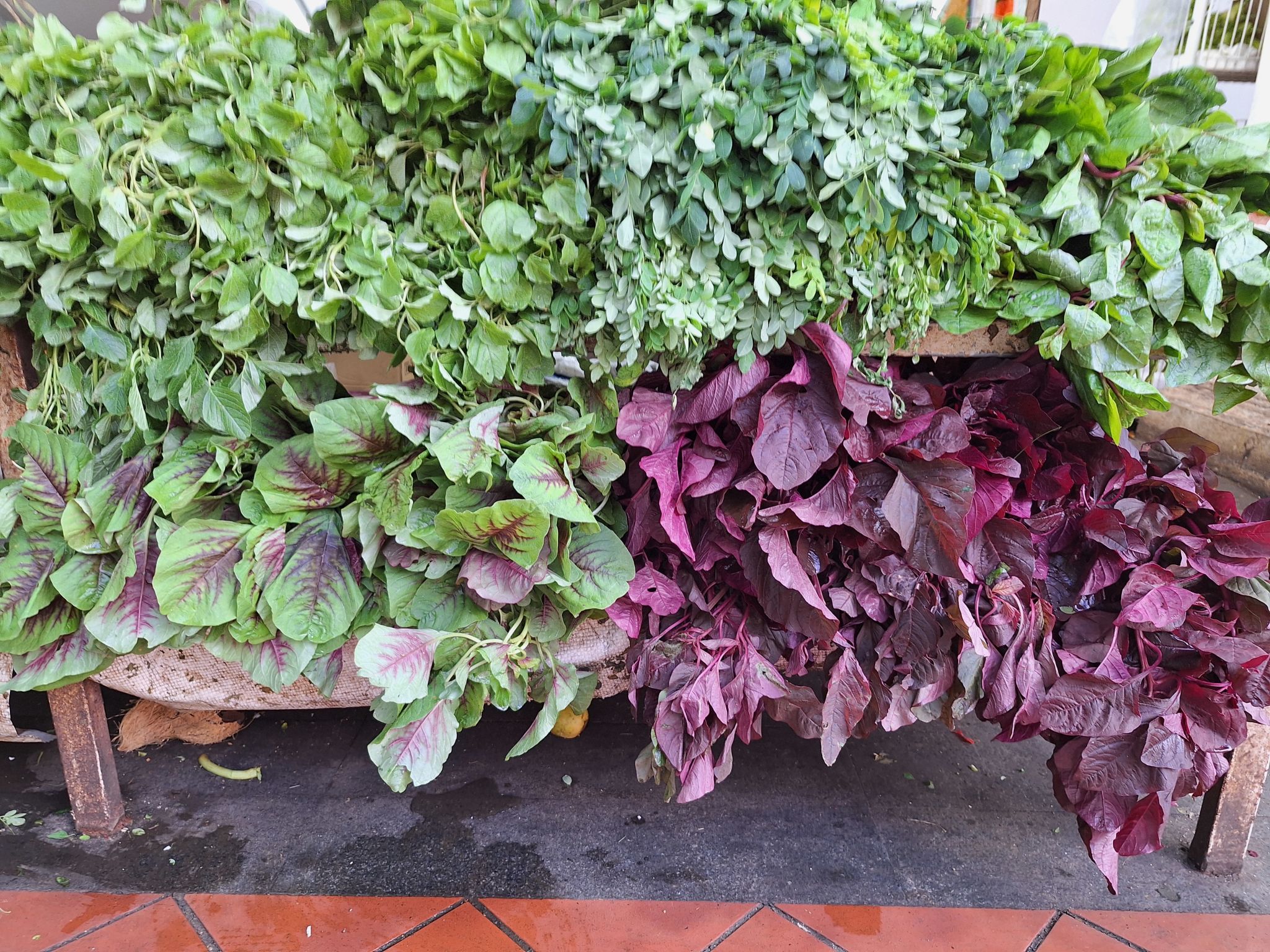 cubiertas vegetales