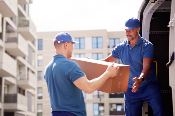 Trabajos de Mudanza: Una Oportunidad Laboral en Crecimiento