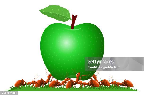 ants holding apple vector illustration - ants vector stock illustrations