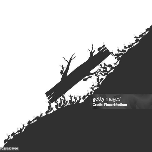 teamwork concepts - ants teamwork stock illustrations