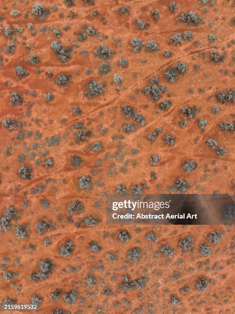 Aussie Outback Texture 307 Outback Dirt Texture Stock Photos, High-Res Pictures, and Images ...