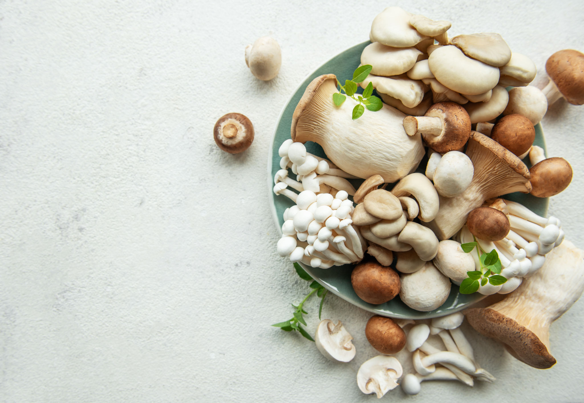 seasonal ingredients