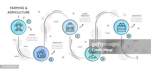 farming and agriculture infographic design - bale stock illustrations