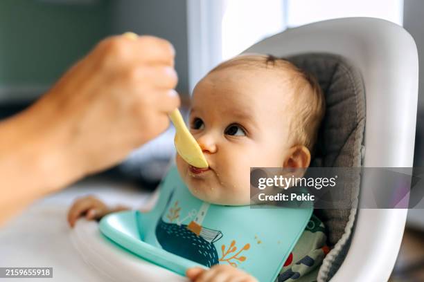 mother spoon feeding her baby boy at home - feeding stock pictures, royalty-free photos & images