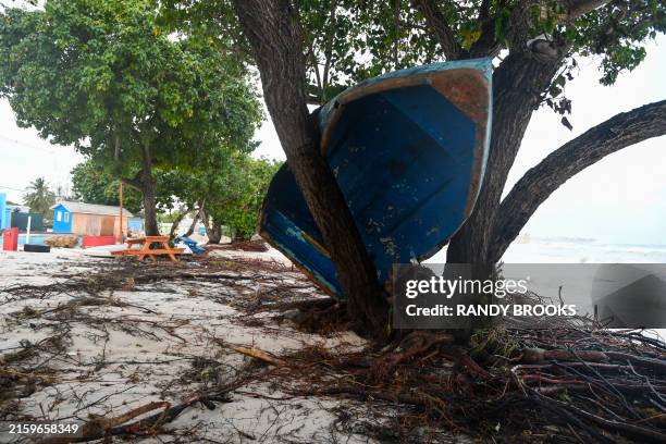 Boat ended up in a tree after the passage of Hurricane Beryl in Oistins gardens, Christ Church, Barbados on July 1, 2024.
