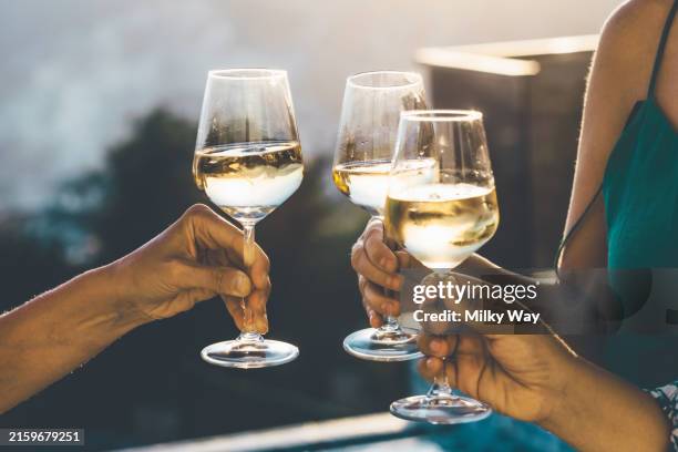 happiness friends toasting in summer. cropped image of women cheering with wine in celebration. - atmospheric mood stock pictures, royalty-free photos & images