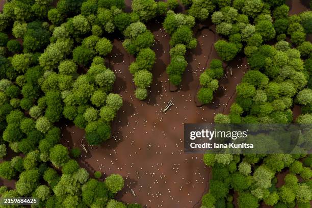 human handprint in forest. deforestation. concept of environmental damage. view from above. 3d pattern. - emissioni di co2 foto e immagini stock
