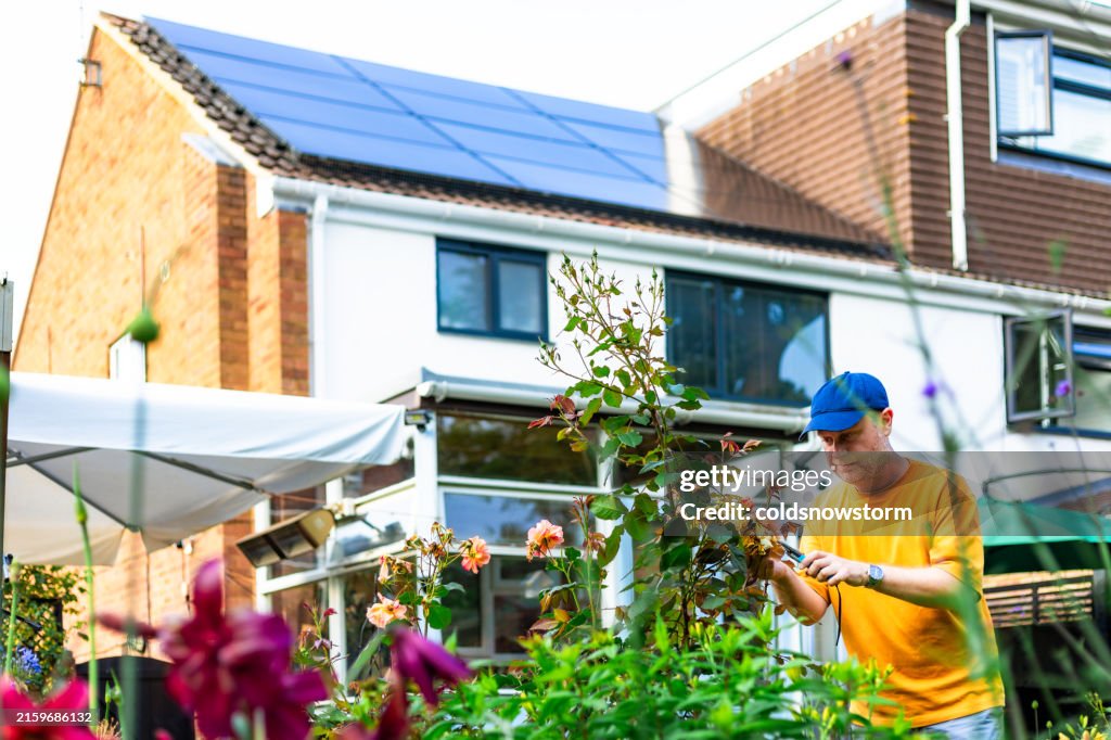 Mid adult man gardening with sustainable house with solar panels in background