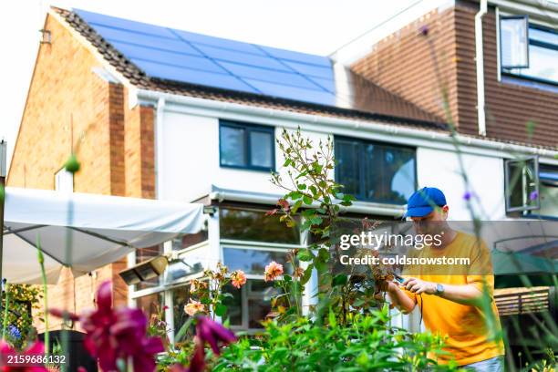 mid adult man gardening with sustainable house with solar panels in background - solar panel stock pictures, royalty-free photos & images