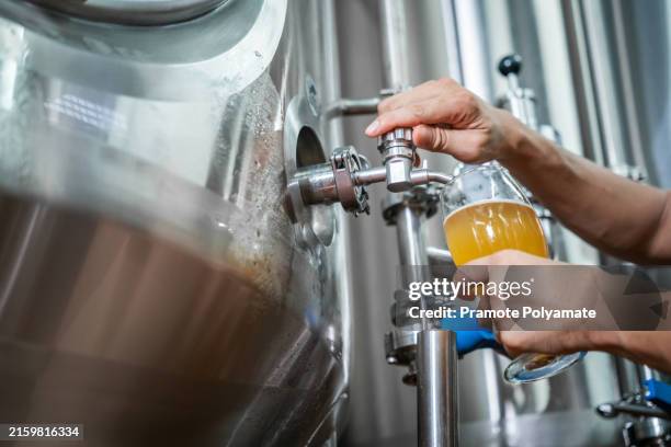 close up hand of a brewer checking beer for qaulity at brewery, production of craft beer. - brouwerij stockfoto's en -beelden