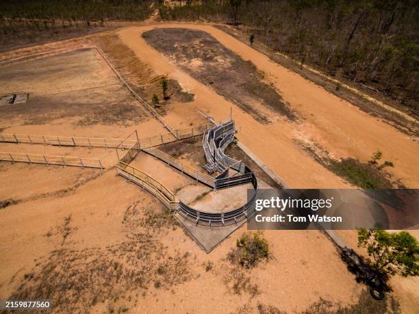 Feedlot Ramps 40 Australian Feedlot Stock Photos, High-Res Pictures, and Images ...