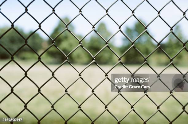 chain link fence in park - clôture grillagée photos et images de collection