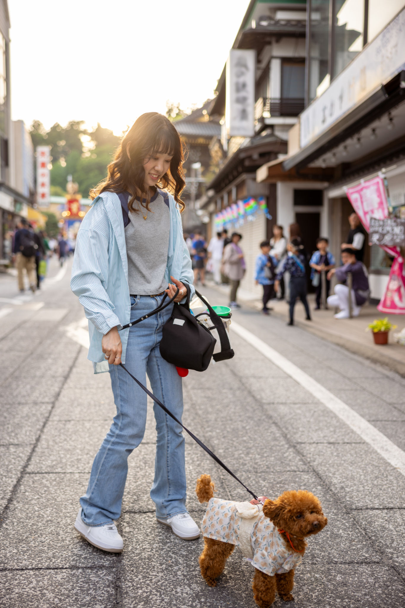 pet festival