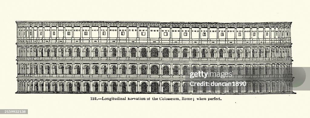 Roman Railing Elevation History Ancient Roman Architecture Longitudinal Elevation Of The ...
