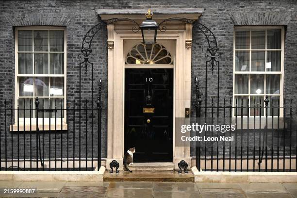 Larry the cat waits at the door of 10 Downing Street prior to the arrival of Labour leader and incoming Prime Minister Sir Keir Starmer following...