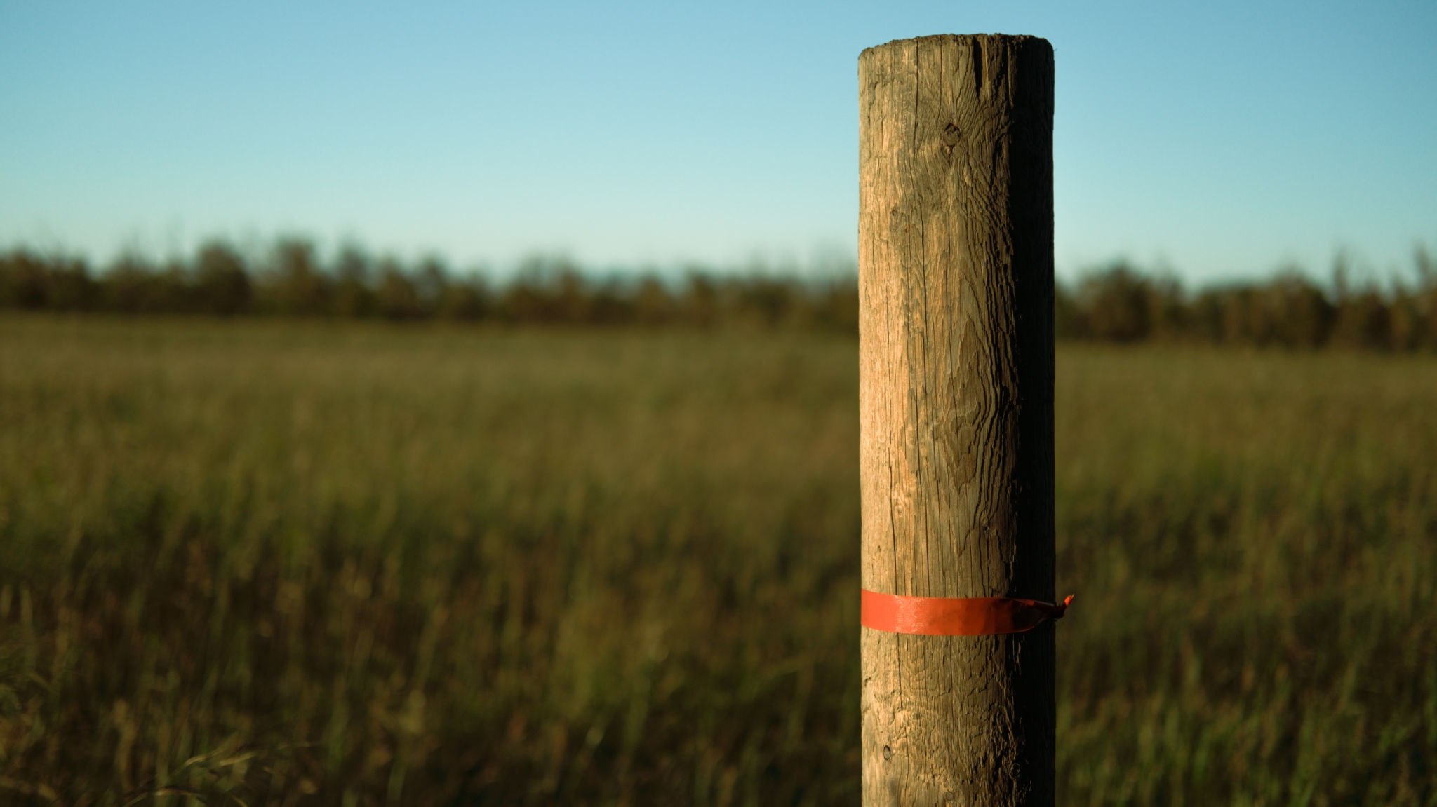 Isolated Fence Post with orange tape around it Isolated Fence Post with orange tape around it