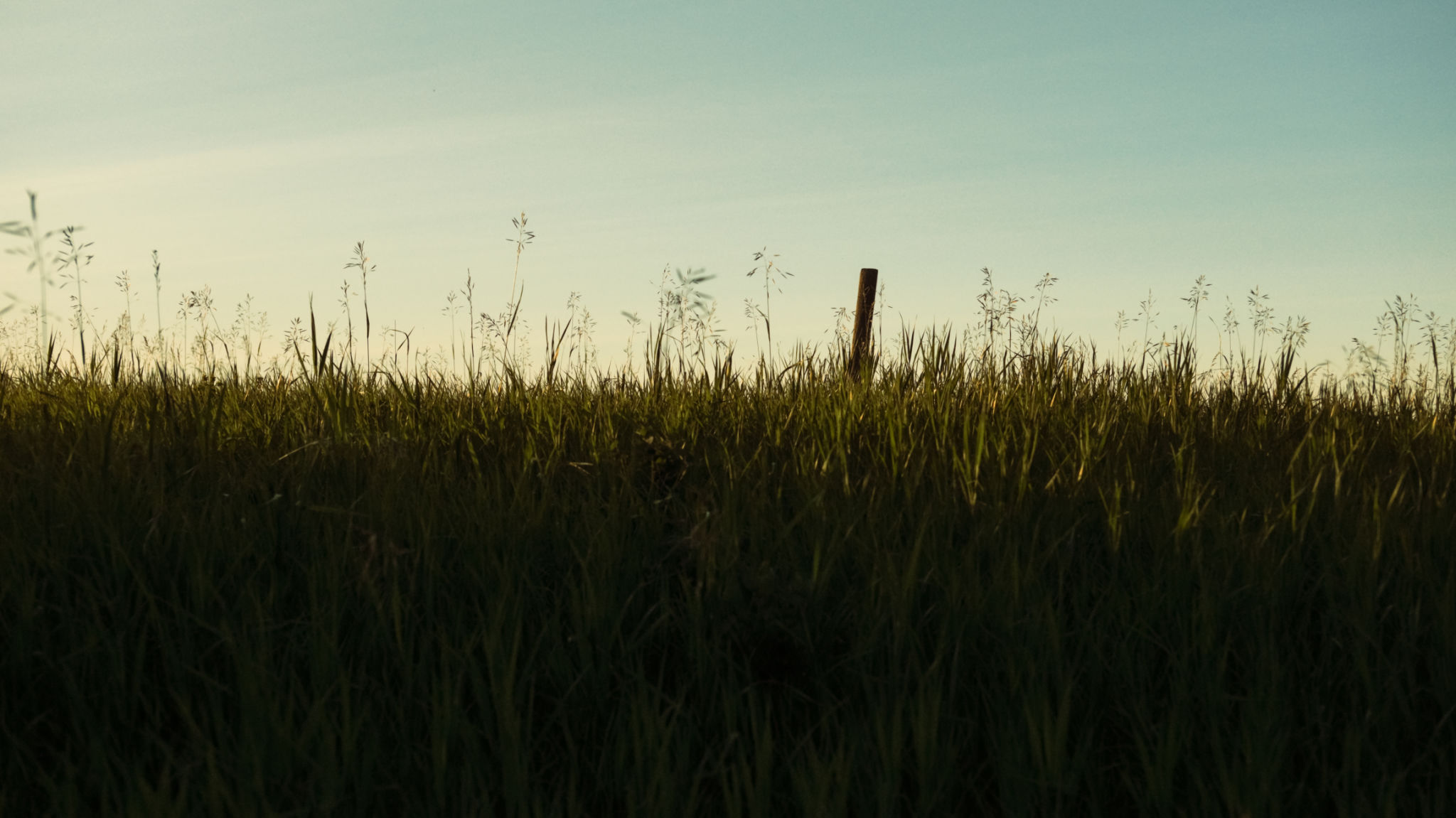 aspect ratio