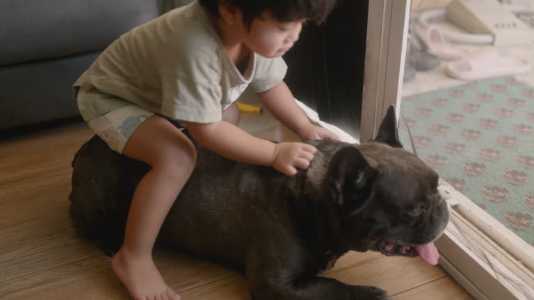 45 Baby Riding Dog Stock Videos, Footage, & 4K Video Clips - Getty Images