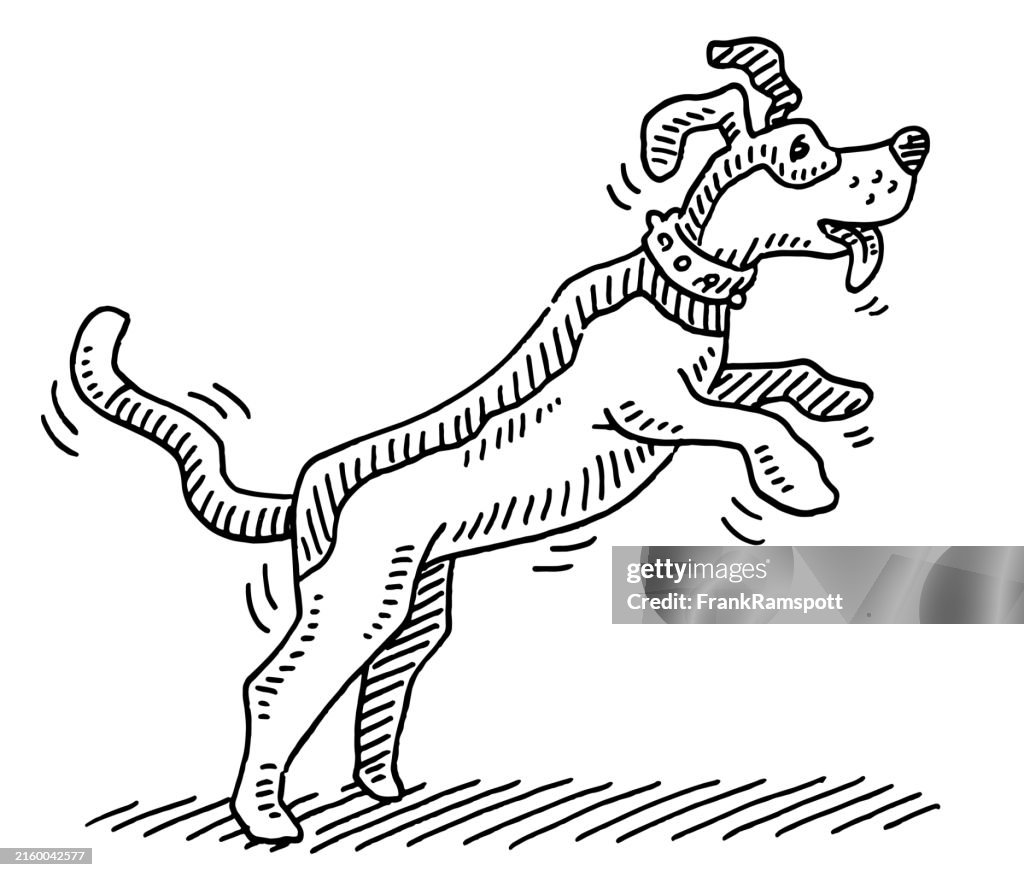 Active Jumping Dog Drawing