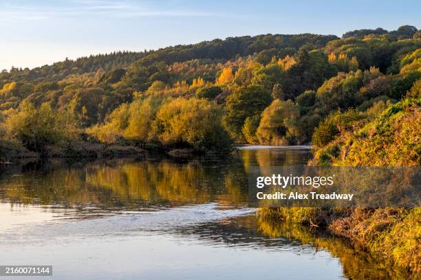 river wye - powys stock pictures, royalty-free photos & images