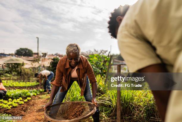 mature woman sifting dirt on a community garden - sifting stock pictures, royalty-free photos & images