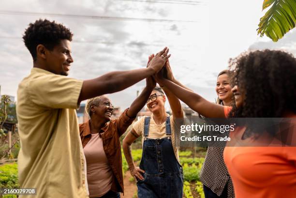 farmers doing high-five on a community garden - autossuficiência imagens e fotografias de stock
