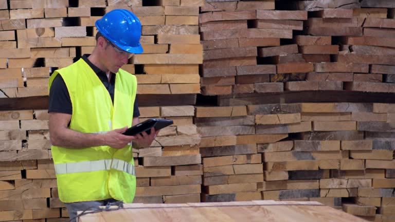 Timber Inspection 11 Timber Clad Stock Videos, Footage, & 4K Video Clips - Getty Images