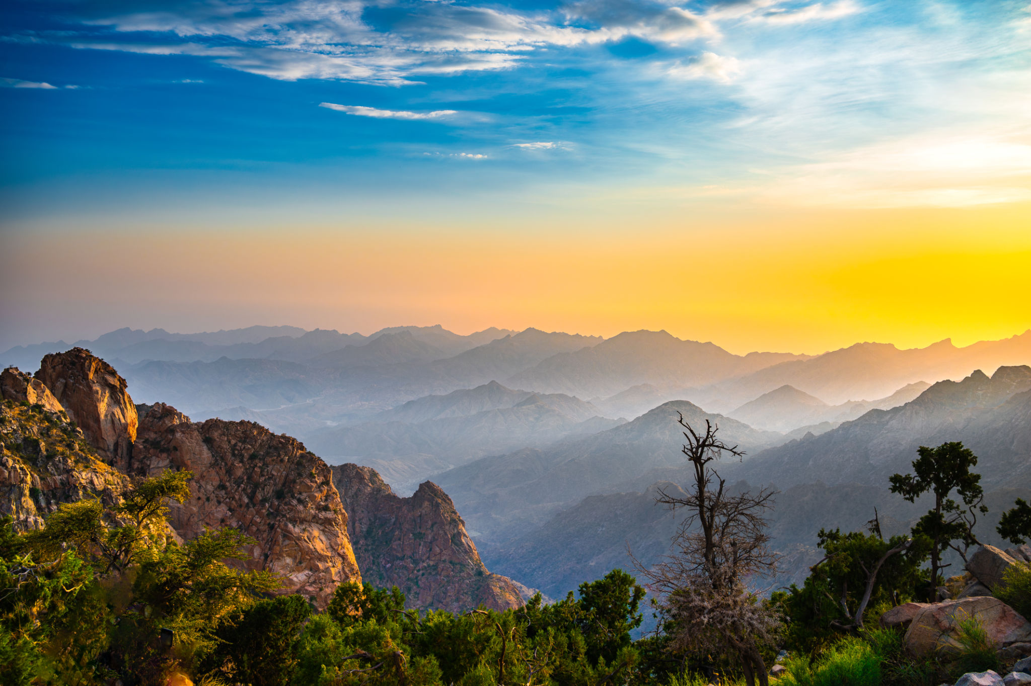 saudi summer