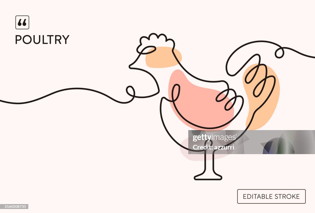 Poultry Continuous Line Illustration