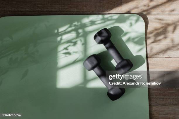 yoga mat and dumbbells on floor with shadow sunlight. fitness, wellness and home work out concept. high angle view with copy space - aparatos para hacer ejercicio fotografías e imágenes de stock