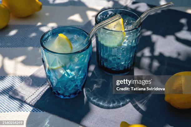 summer lemonade with lemons on garden table - gin tonic photos et images de collection