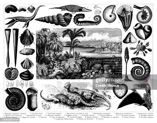 antique engraving collection, geology - dinosaur drawing stock illustrations
