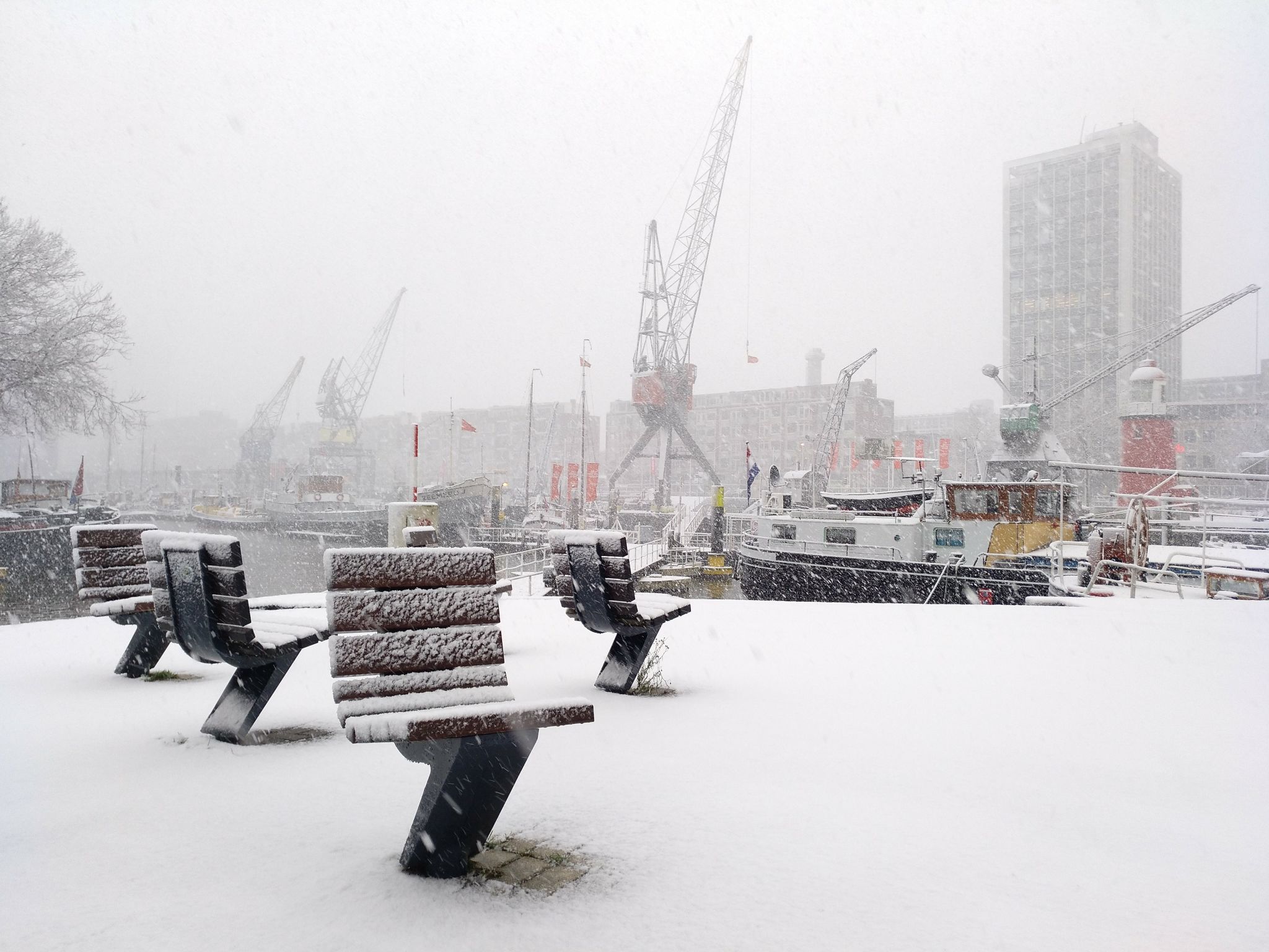 rotterdam winter