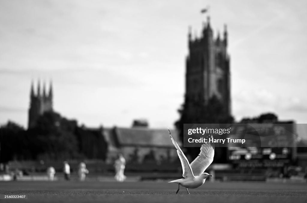 Somerset v Warwickshire - Vitality County Championship