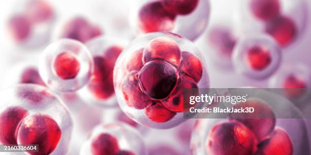cells. molecular structure. wide concept - dna research stock pictures, royalty-free photos & images