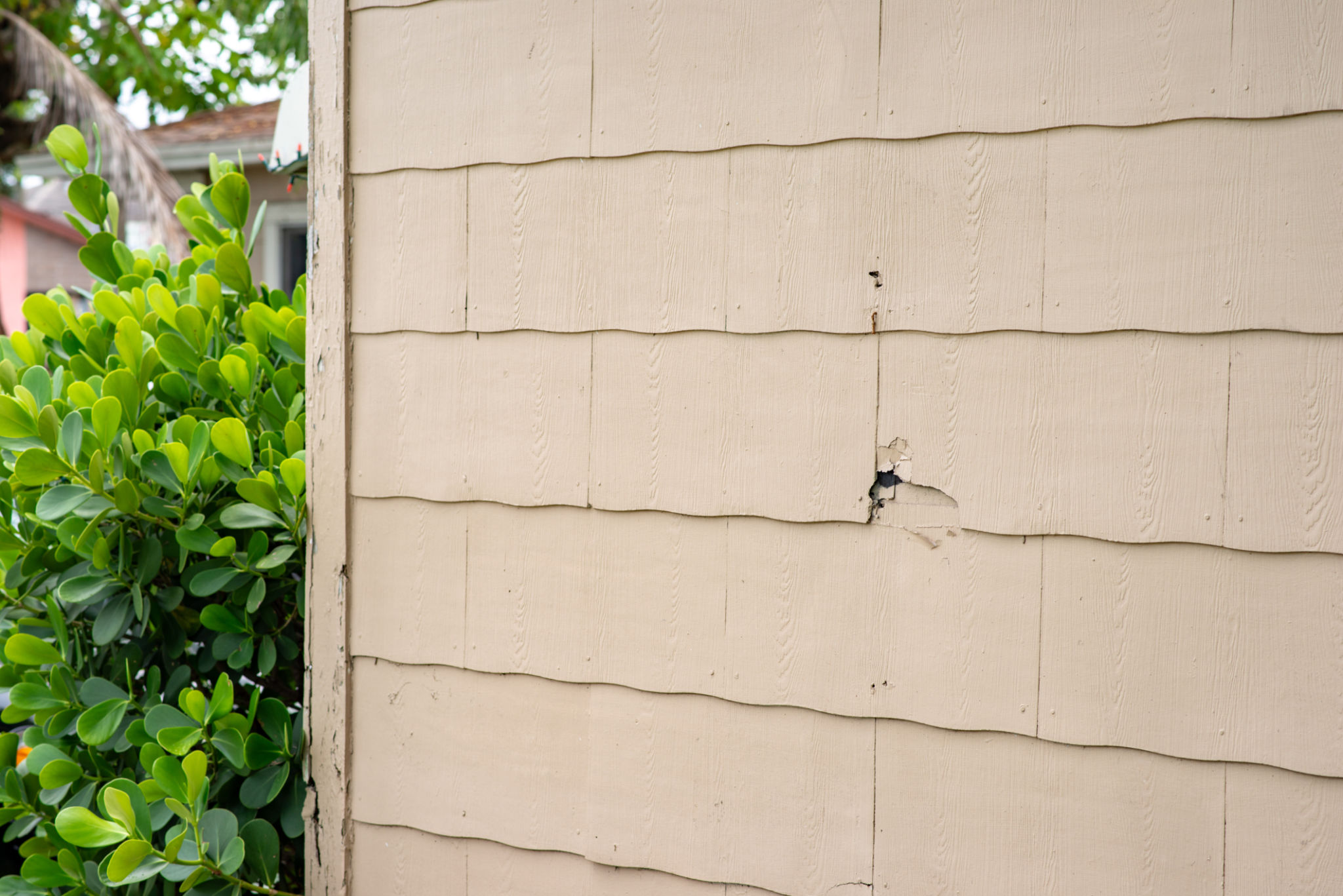 siding problems