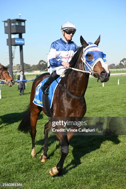 Sam Prebble 1,809 Tom Prebble Photos & High Res Pictures - Getty Images