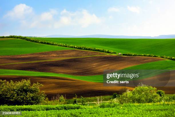 paesaggio rurale minimalista con campi verdi, terra marrone e alberi nella moravia meridionale, repubblica ceca - campo arato foto e immagini stock