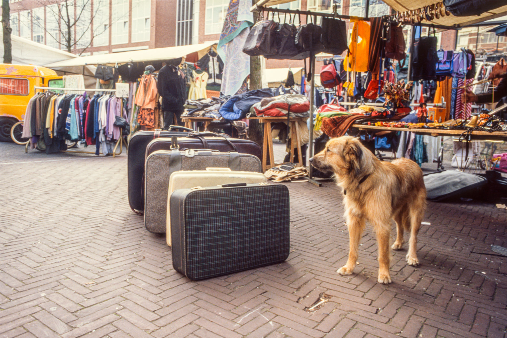 local market pets