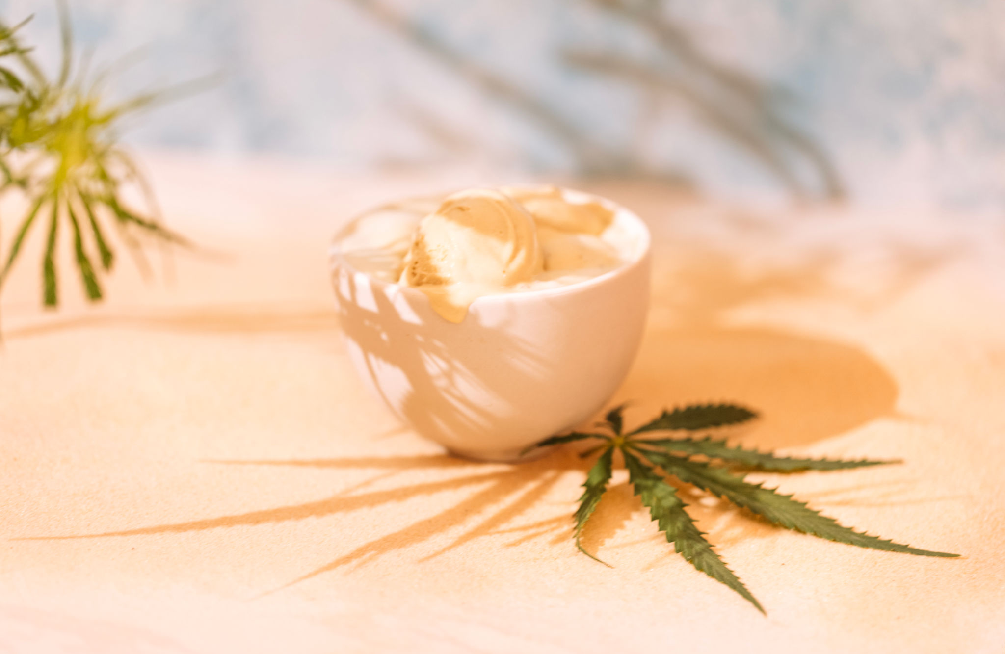 cannabis boutique