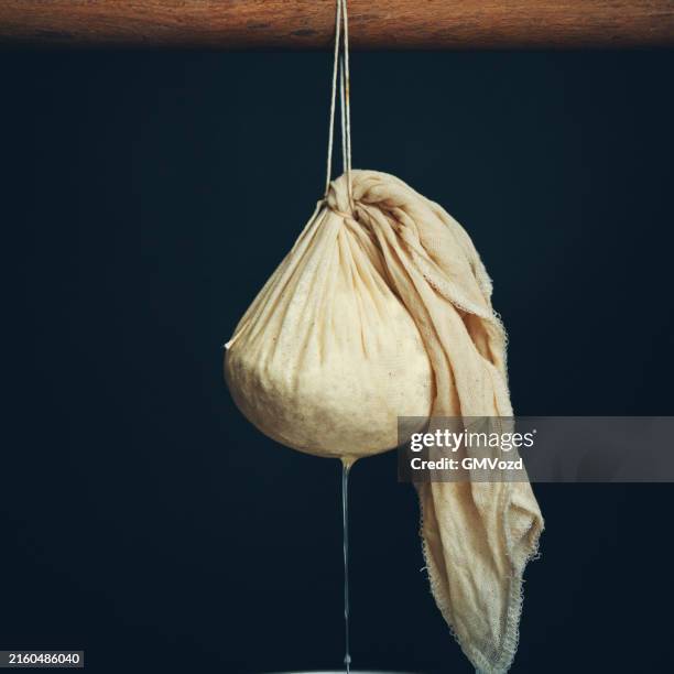 elaboración de queso blanco fresco en la cocina doméstica - producción-de-queso fotografías e imágenes de stock