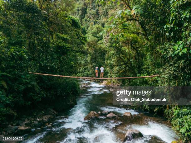 vue aérienne d’un homme et d’une femme sur un pont au-dessus d’une rivière dans la jungle de l’équateur - équateur photos et images de collection