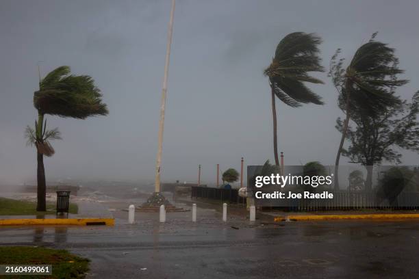 Palm trees sway as the wind and rain from Hurricane Beryl pass through on July 03 in Kingston, Jamaica. Beryl has caused widespread damage in several...